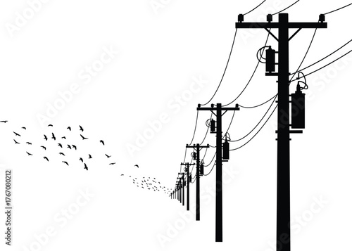Utility Poles and Birds Silhouette. Minimalist Power Line Perspective with Natural Motion, Infrastructure Contrast, and Black-and-White Visual Depth