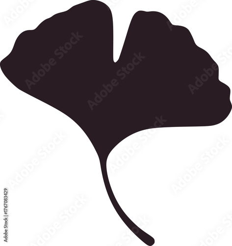 Dark ginkgo leaf silhouette isolated botanical nature