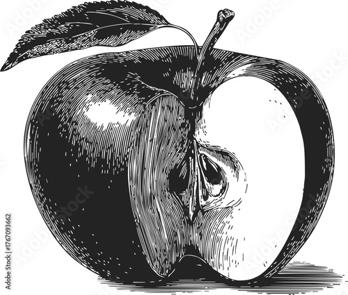 Apple sketch hand drawn with leaf and half cut showing seeds — stock vector