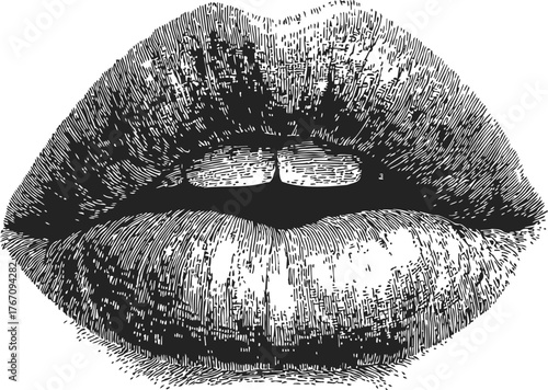 Lips sketch hand drawn detailed mouth with parted lips and visible teeth — stock vector