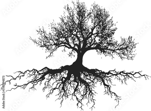 Tree silhouette sketch, hand drawn style with exposed roots and detailed branches — stock vector