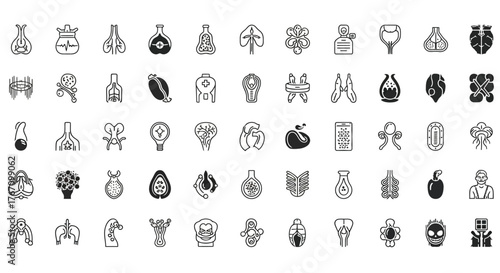 Set of vector line icons of human internal organs anatomy, medicine and health symbols body parts outline pictograms
