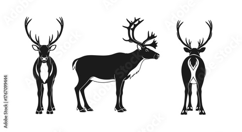 Three distinct black silhouette views of a majestic reindeer, showcasing its impressive antlers from front, side, and rear perspectives, ideal for graphic design.