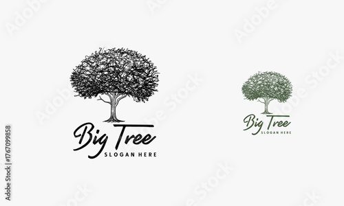 hand drawn Old Big Tree Silhouette Logo Design Vector Image