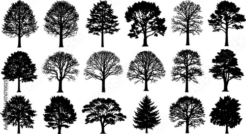 Set of detailed black tree silhouettes, various deciduous and coniferous tree shapes, isolated vector icons for forest, nature, and landscape design.black colored with white background