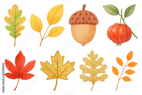 PNG Autumn leaves and acorn illustration, element set on transparent background