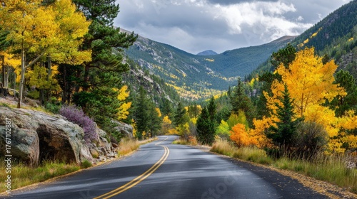 beautiful landscape of a road surrounded by yellow and green trees
