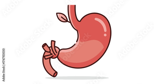 Conceptual illustration of a surgically modified stomach, symbolizing bariatric procedures crucial for weight management in modern Healthcare