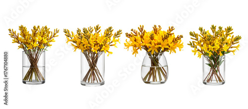 Four glass vases, each holding a different arrangement of bright yellow flowers with brown stems isolated on a transparent background.
