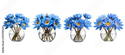 set bouquet of blue flowers isolated on a transparent background.