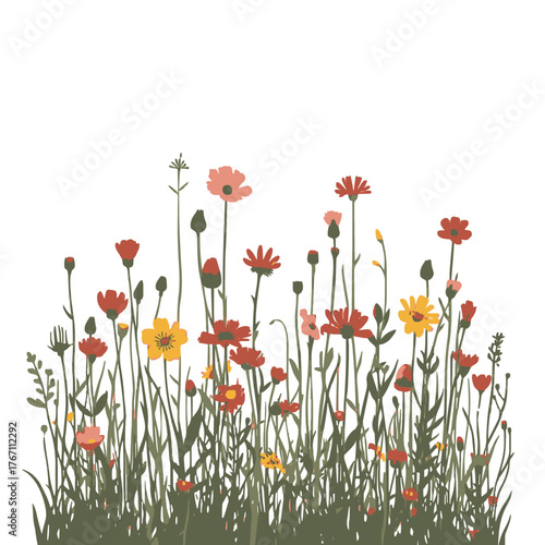 Vibrant meadow wildflowers bloom in warm summer colors, bringing natural beauty