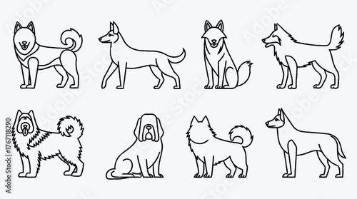 Diverse Collection of Dog Breed Line Art Illustrations on White Background