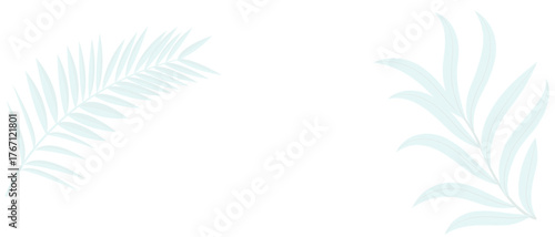 Tropical leaves shadow on white background. Black palm leaf on white background. shadow of palm leaves seamless vector floral background.