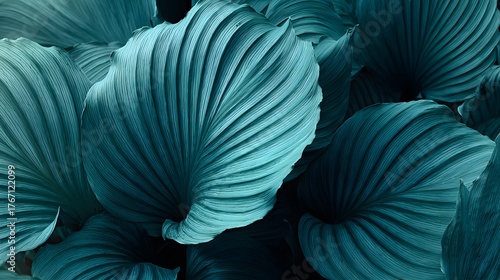 Large tropical foliage displays prominent parallel veins in deep cyan tones