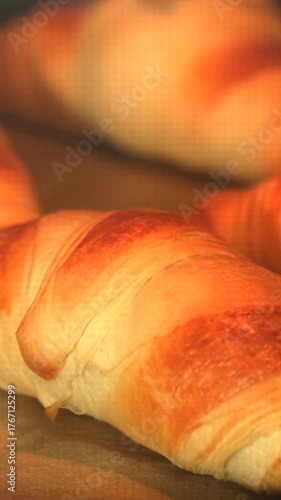 Freshly baked croissants rising in the oven with golden brown color and flaky texture