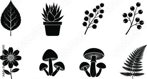 Black botanical silhouette collection with leaf, potted succulent, berries, flower, mushrooms, and fern, elegant vector nature illustration for design