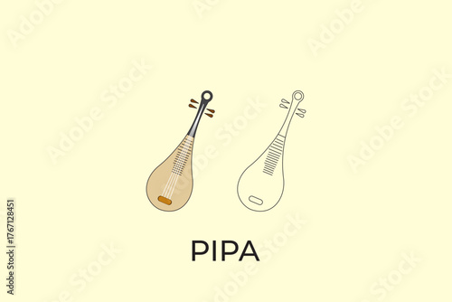 vector illustration of a pipa musical instrument