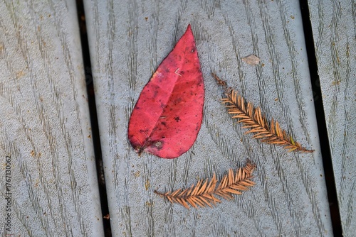 A fallen red leaf & cypress fronds display autumn colors on a wooden walkway