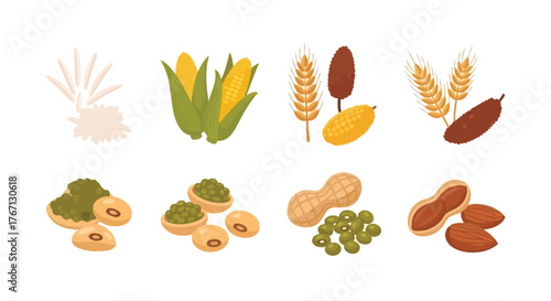Illustrative collection of various grains legumes and nut elements displayed