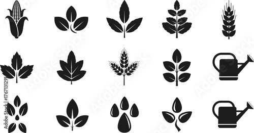 Agriculture icons, farming symbols, crop growth, wheat stalks, corn cob, leaves, irrigation, watering can, eco farming, organic plants, sustainable agriculture, botanical design, harvest season