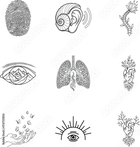 Vector art of collection of human organs and senses line art