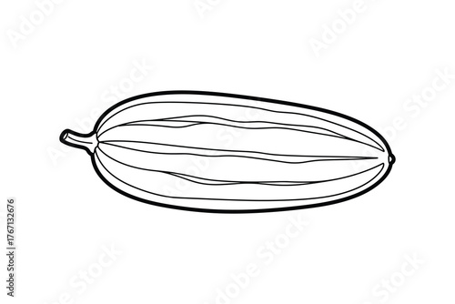 Outline drawing of an elongated striped squash or zucchini vegetable line art illustration
