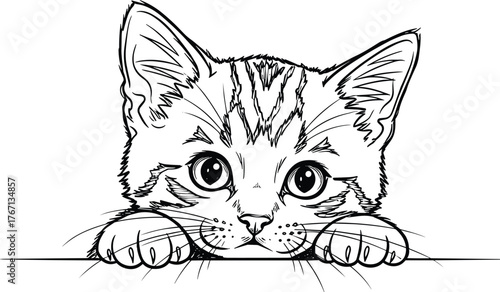 Cute kitten line drawing, black and white illustration, adorable cat sketch, curious feline artwork, pet portrait, animal art, hand drawn design