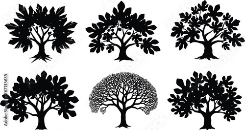 Stylized tree silhouette vector set, black illustration, diverse canopy and branching patterns, botanical design, abstract forest artwork, minimal nature concept, foliage variations
