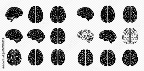 Collection of brain illustrations in different views and styles, showcasing neurological anatomy and design.