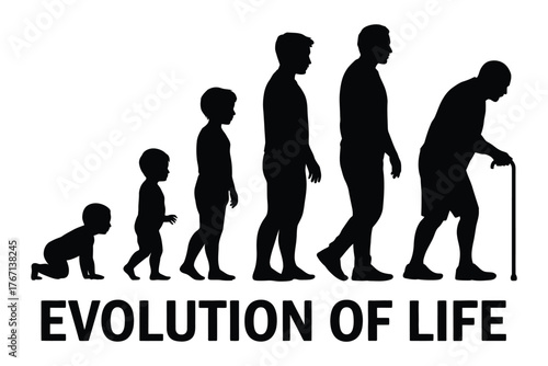 Human life cycle evolution silhouette