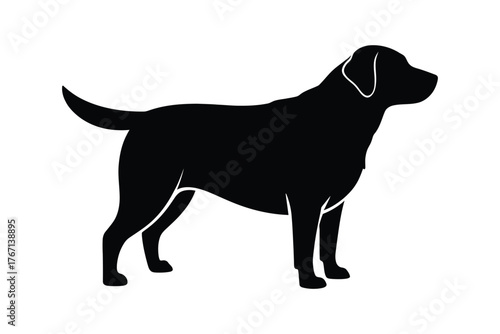 Black silhouette of a labrador retriever dog standing