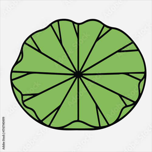 Illustration of a green lotus flower with black lines on a white background, viewed from above.