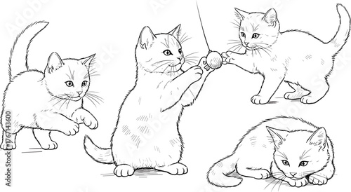 Playful kittens sketch illustration, cute cats drawing, adorable pets artwork, blue line art style, playful feline behavior, children’s book design