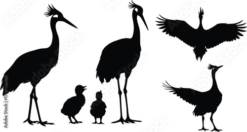 Black silhouettes of cranes and chicks on white background bird