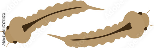 Illustration of Mosquito Larvae