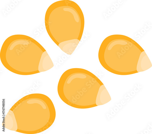 Scattered Corn Kernels Still Life Illustration