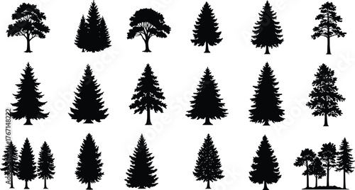 Collection of black tree silhouettes including pine fir and deciduous varieties white background pine tree