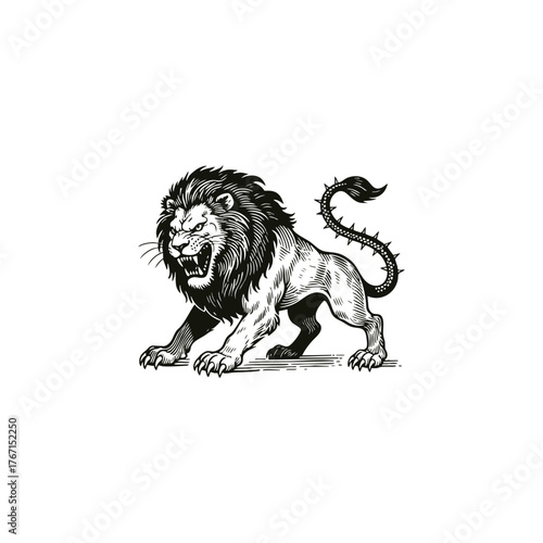 Fierce lion mascot illustration in a vintage woodcut or engraving style. This heraldic design features an aggressive roaring lion with a stylized, spiked tail