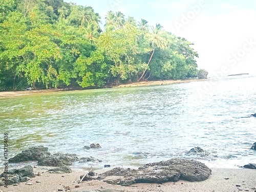 tropical beach with palm trees