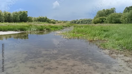 A swampy shore of a beautiful shallow lake overgrown with bushes and grass, with reflections in the calm water on a sunny summer day. Matveevskaya channel, Siberia, Russia.