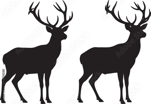 Two majestic deer silhouettes standing side by side