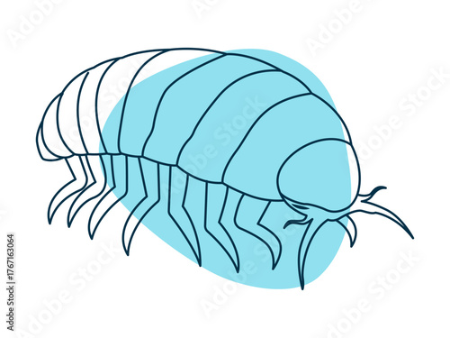 Giant isopod icon. Deep sea icon. Simple vector in modern thin line style. Vector illustration.