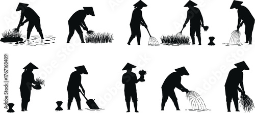 Traditional rice farming silhouettes, Asian agriculture workers, paddy field labor, rural harvest scene, conical hats, planting, harvesting, carrying rice bundles