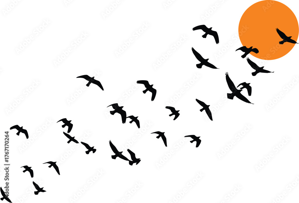 Obraz premium Flock of silhouetted birds flying towards a bright orange sun against a white background