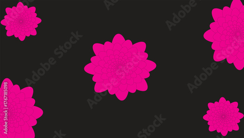  Pink purple flowers on black background