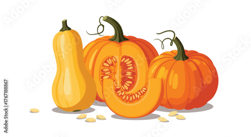 Vibrant illustration depicting various pumpkins and a butternut squash, with whole, cut, and sliced pieces, showcasing seeds for autumn concepts.