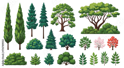 A vibrant collection of diverse trees, shrubs, and leaves, featuring evergreen, deciduous, flowering, and autumn varieties, isolated on white.