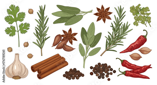 A vibrant assortment of fresh herbs, spices, and peppers arranged on a white background.