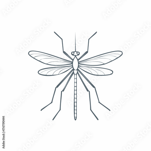 Detailed illustration of a mosquito insect with wings.
