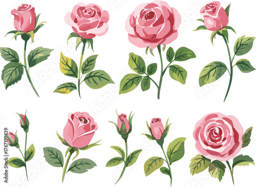 Beautiful pink rose flower collection with green leaves, elegant watercolor botanical illustration for wedding design, greeting card, and floral decoration